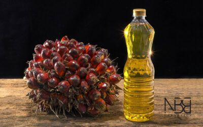 L’olio di Palmisto nella Cosmesi